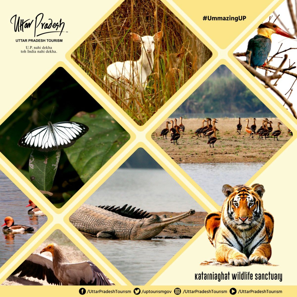 Katarniaghat Wildlife Sanctuary - Uttar Pradesh